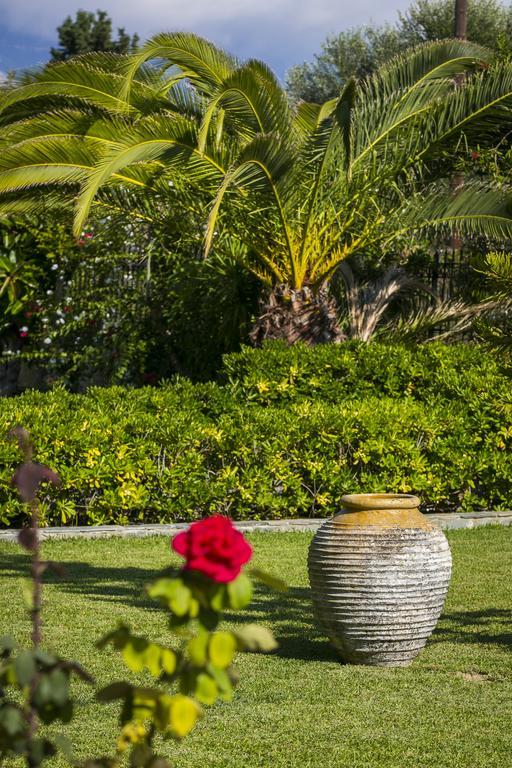 Olive Grove Studios & Apartments Svoronata Ngoại thất bức ảnh
