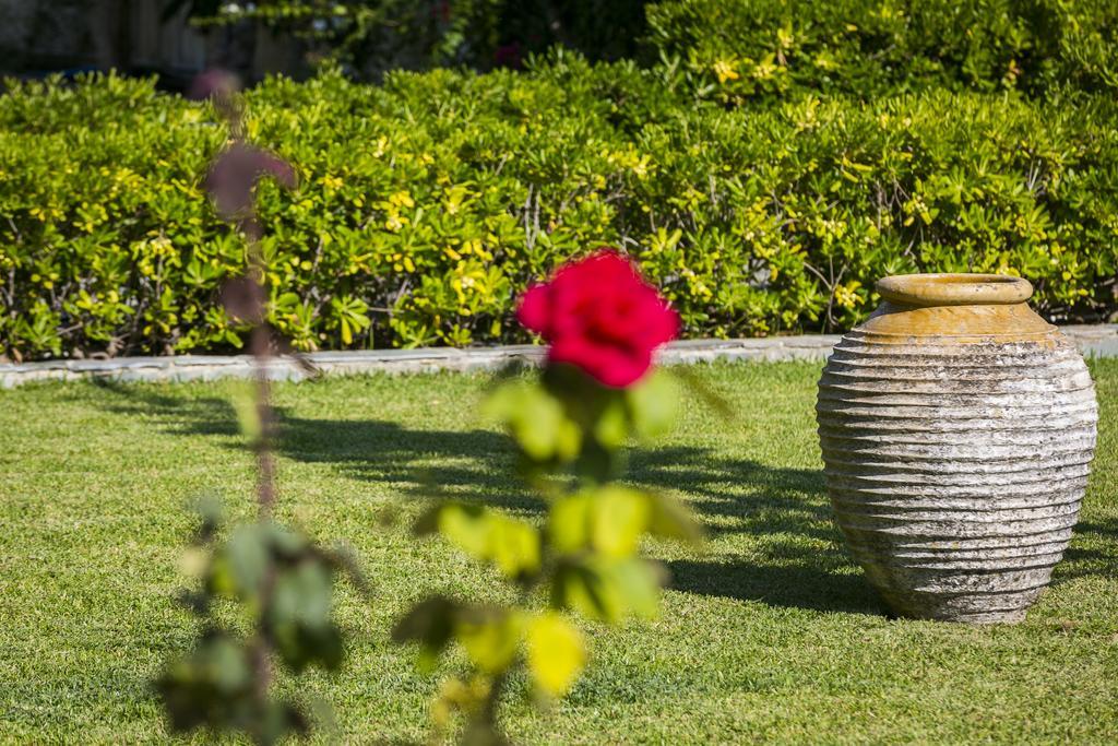 Olive Grove Studios & Apartments Svoronata Ngoại thất bức ảnh